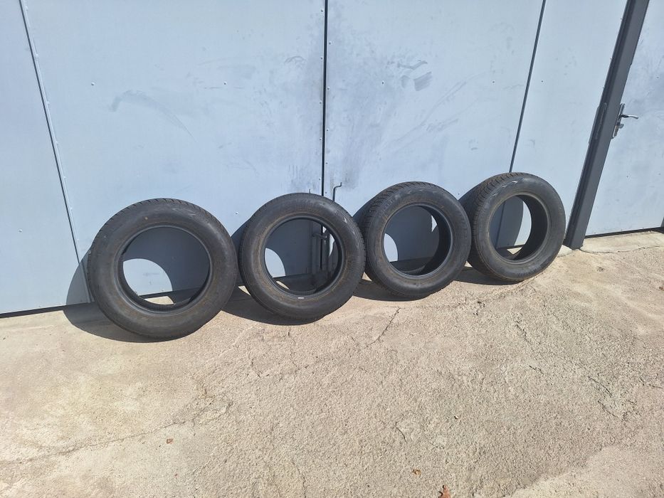 Зимние шины Triangle WinterX TW401