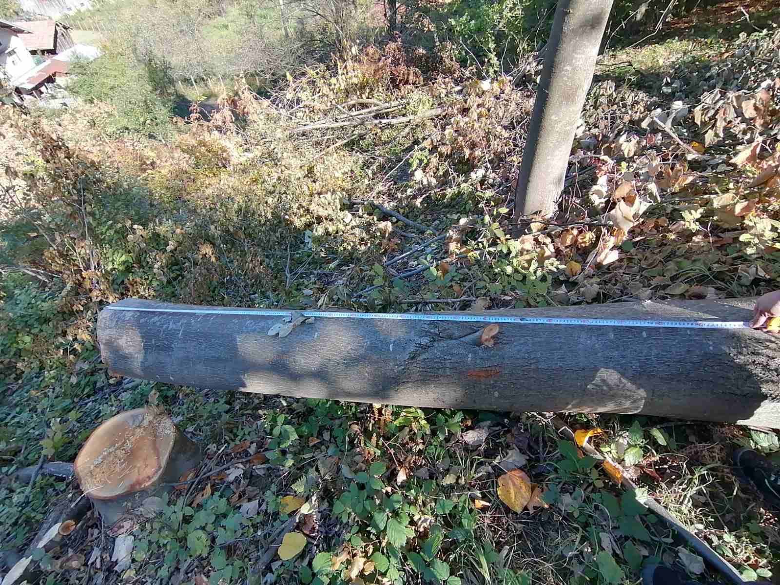 Трупи липа и череша