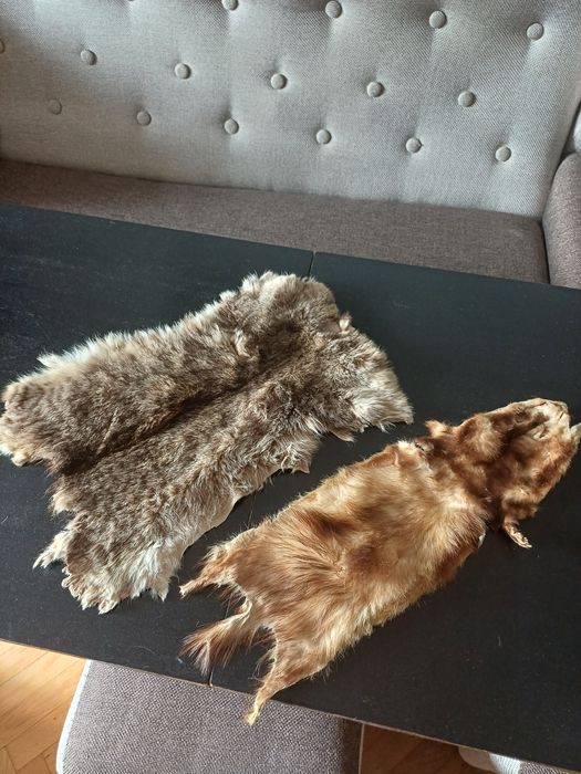 Лисица ,бялка и дива котка. Обработени кожи.