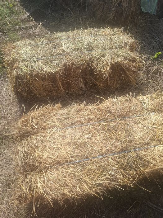 Vând baloate fîn amestecat cu lucernă.