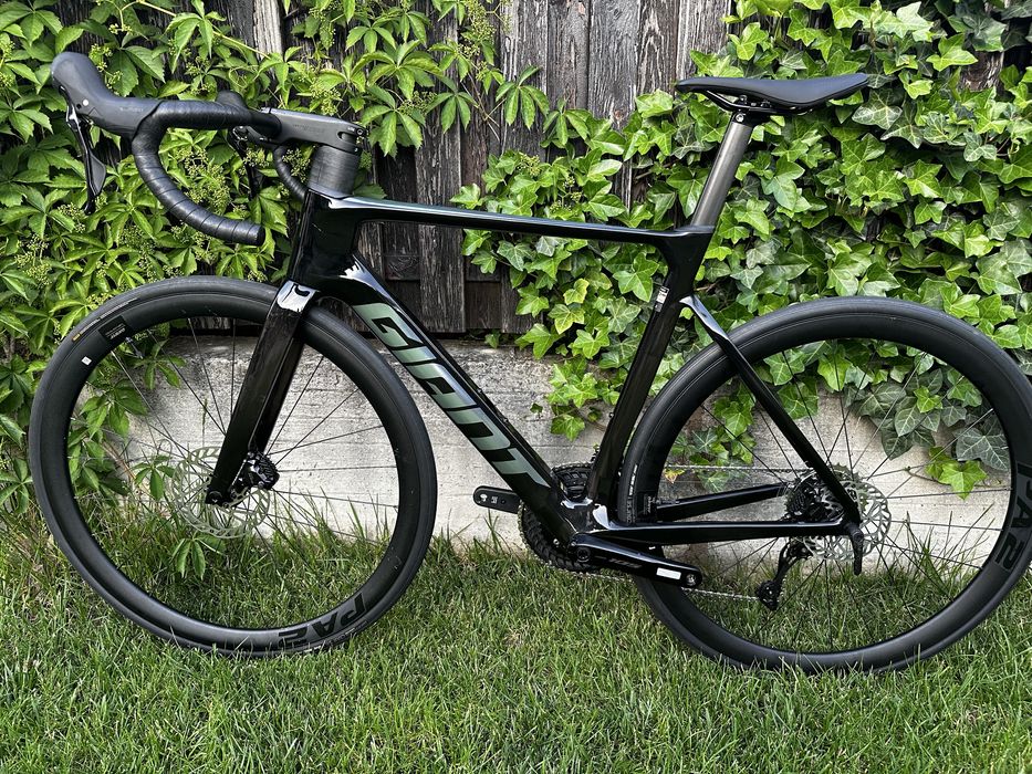 Cursiera Giant Propel Advanced 2 2025