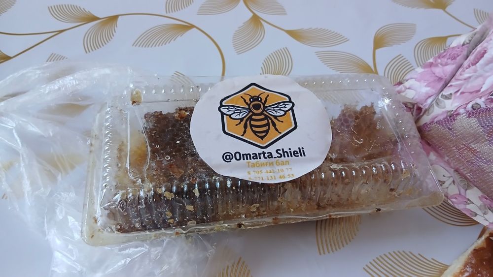 Бал  ұядағы Omarta_Shieli