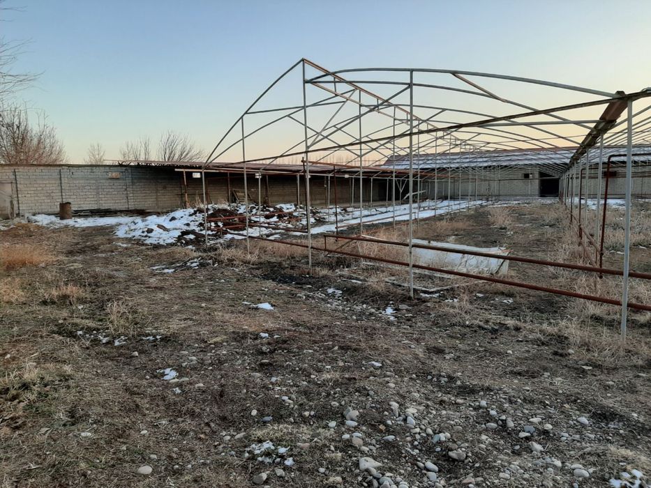 Notutar yer joyi 25 sotix