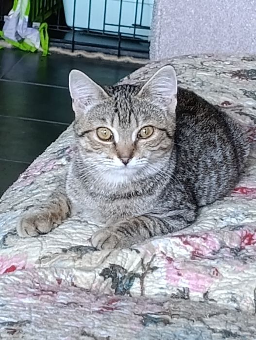 Дени ждём своего человека.