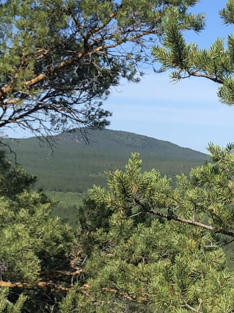 Дом в Зеренде