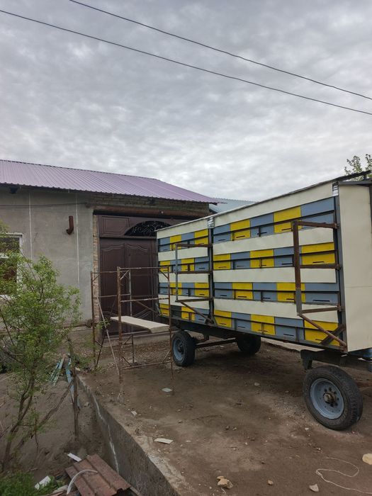 Asalari Pavilioni 72 ta oilaga mo'ljallangan.