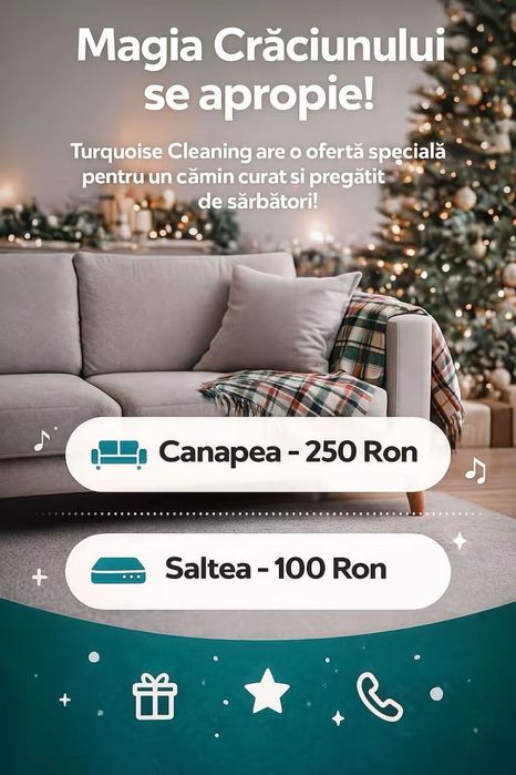 Curatenie profesionala de Craciun