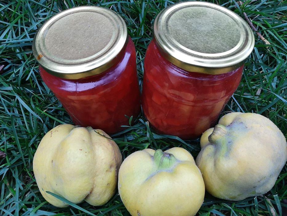 Dulceață gutui naturala