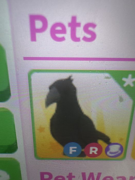 Продаю фр ворона.Выгодно