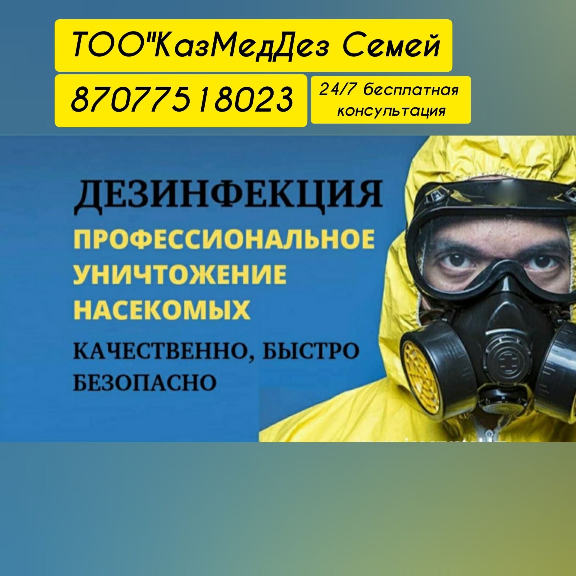 Дезинфекция Семей,  Дезинфекция Абайская область, паразиты, грызуны