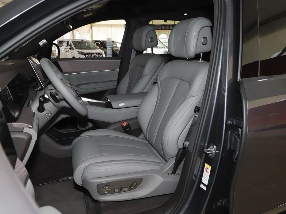 Denza N9 Flagship предзаказ вин номер тайёр