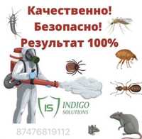 Дезинфекция гарантия качество дезинсекция насекомых клоп таракан