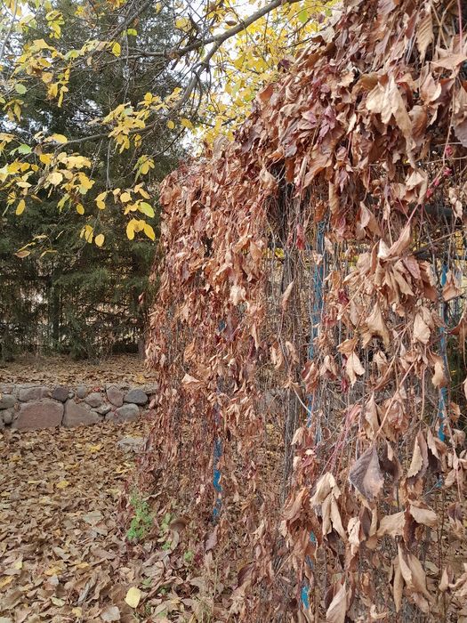 Обмен дачани Квартирага