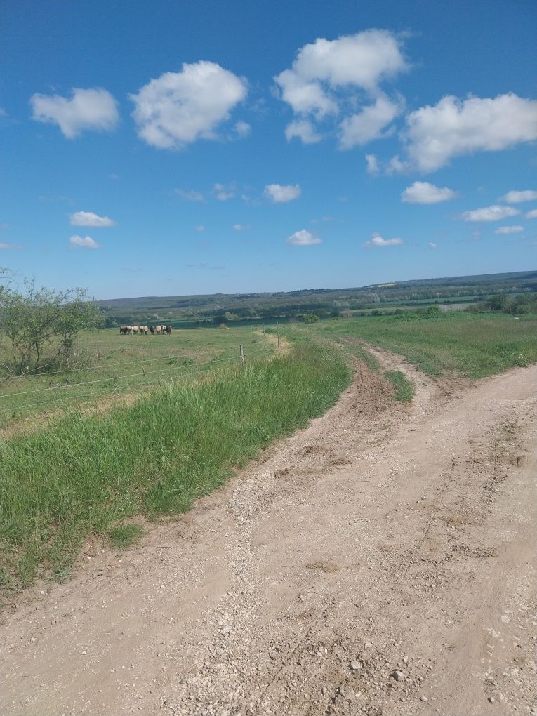 Парцел с.Детелина