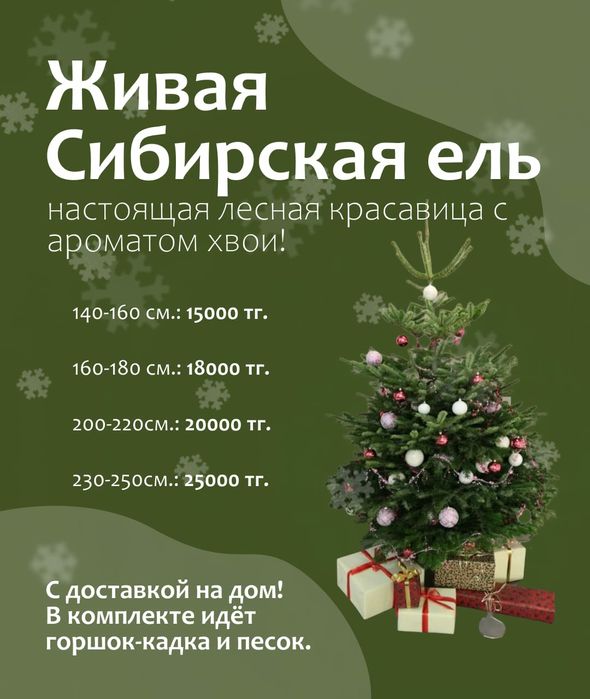 Живые ёлочки на новый год, свежая партия, звоните