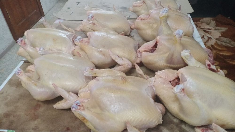 Куры. Тушки бройлеров .Цена указана за килограмм.