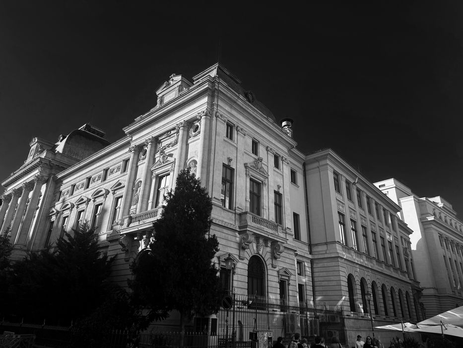 Fotograf cu experienta si licenta