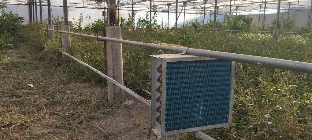 14sotixli (Teplitsa) Issiqxona sotiladi