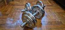 Set gantere diplomat 2 x 10 Kg
