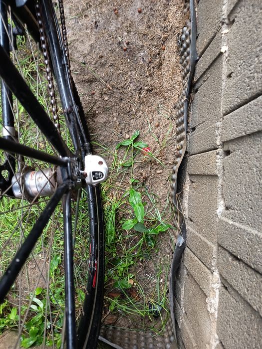 Bicicleta 3 viteze in butuc