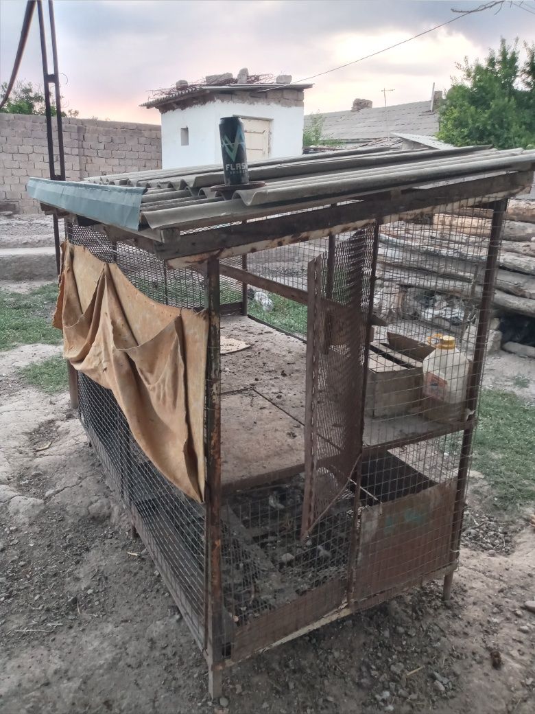 2 Qavatli tovuq katak sotiladi