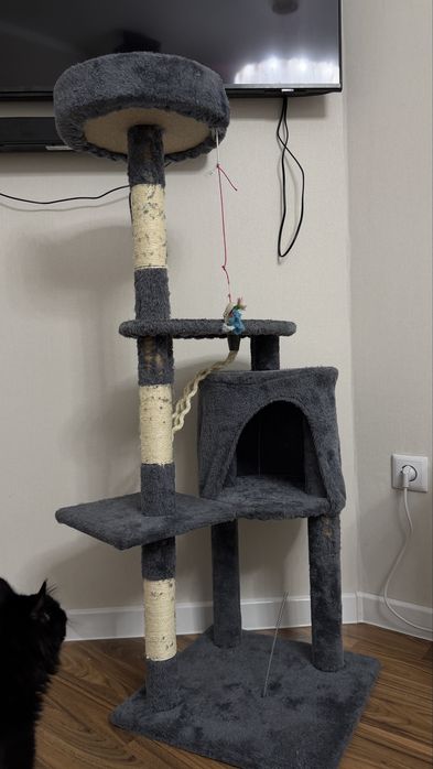 Когтеточка домик