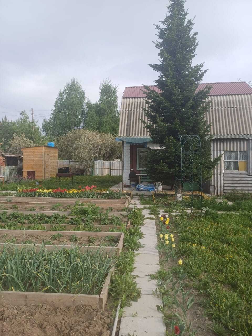 Дача 6 соток, с/т Дружба-1
