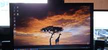 Monitor DELL E2211H  22"inch