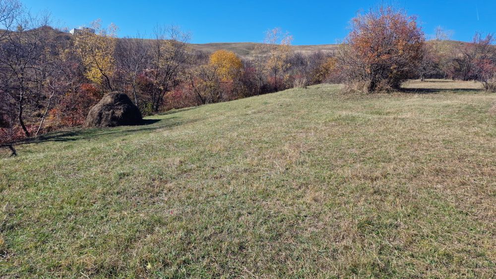 Vând teren intravilan 8000 m²