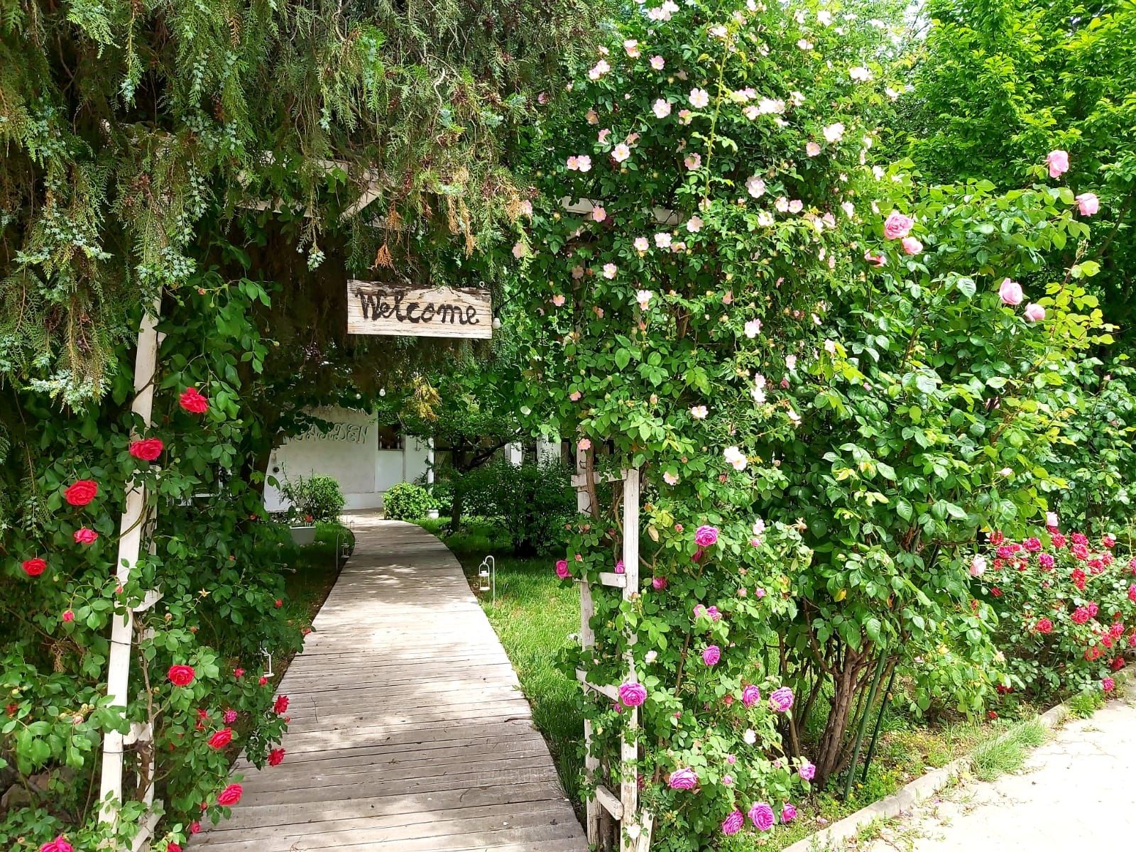 Salon Anastasia Garden predare afacere