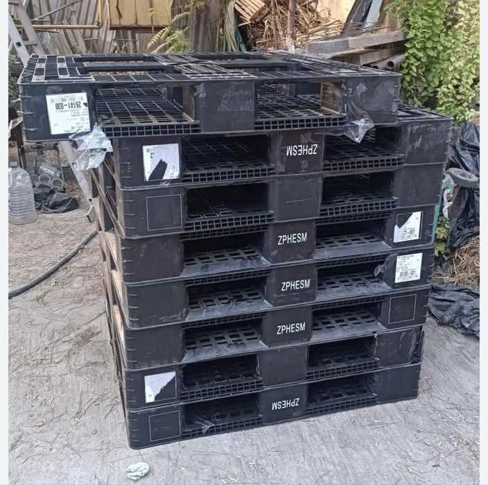 Продам Подон. 6 Шт в наличие..