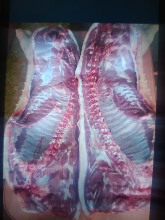 Продам мясо свинины