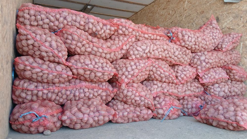 Cartofi animale 074[060]45[98)