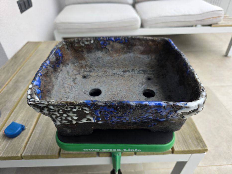 Vand vas pentru bonsai