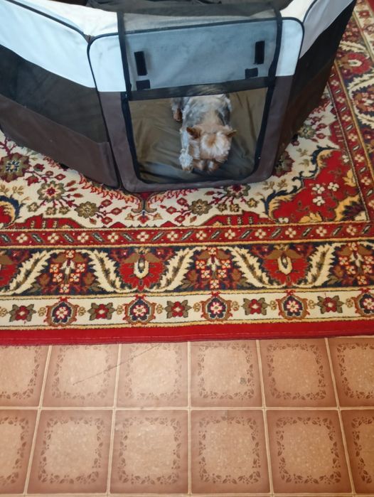 Манеж сборный для собачки