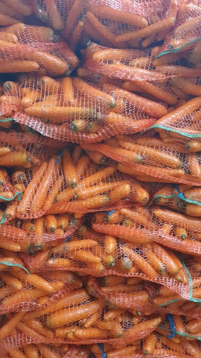 Vand morcovi spalati si nespalati