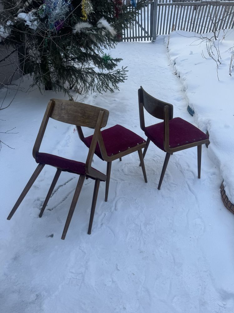 Венские стулья, Карелия под реставрацию