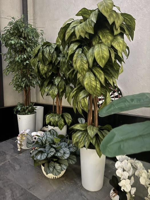 Искусственные растения, декор для дома