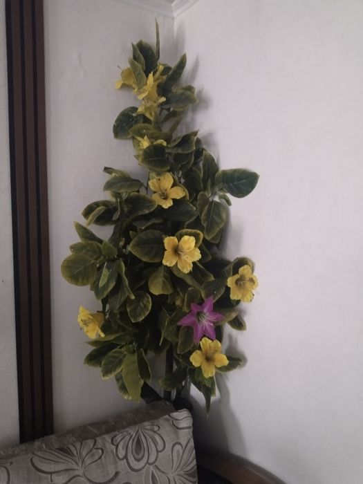 , цветок дерево 3 штуки разных