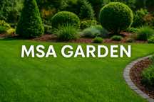 MSA GARDEN – Peisagistică de Vis în Botoșani!