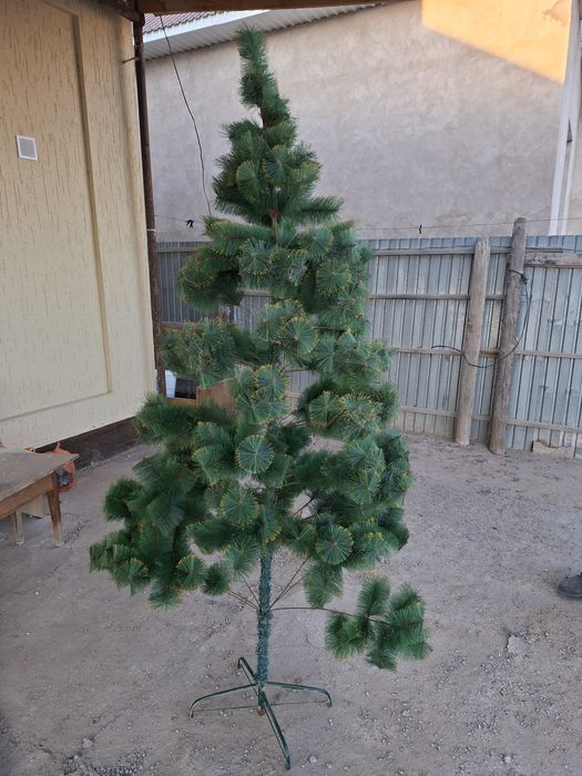 Ёлка биіктігі 2,40