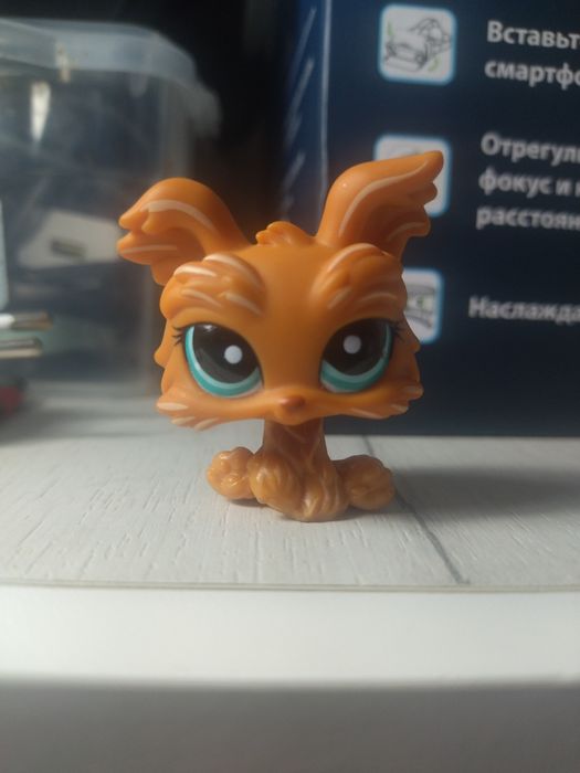 Продам собачку Йорк в хорошем состоянии