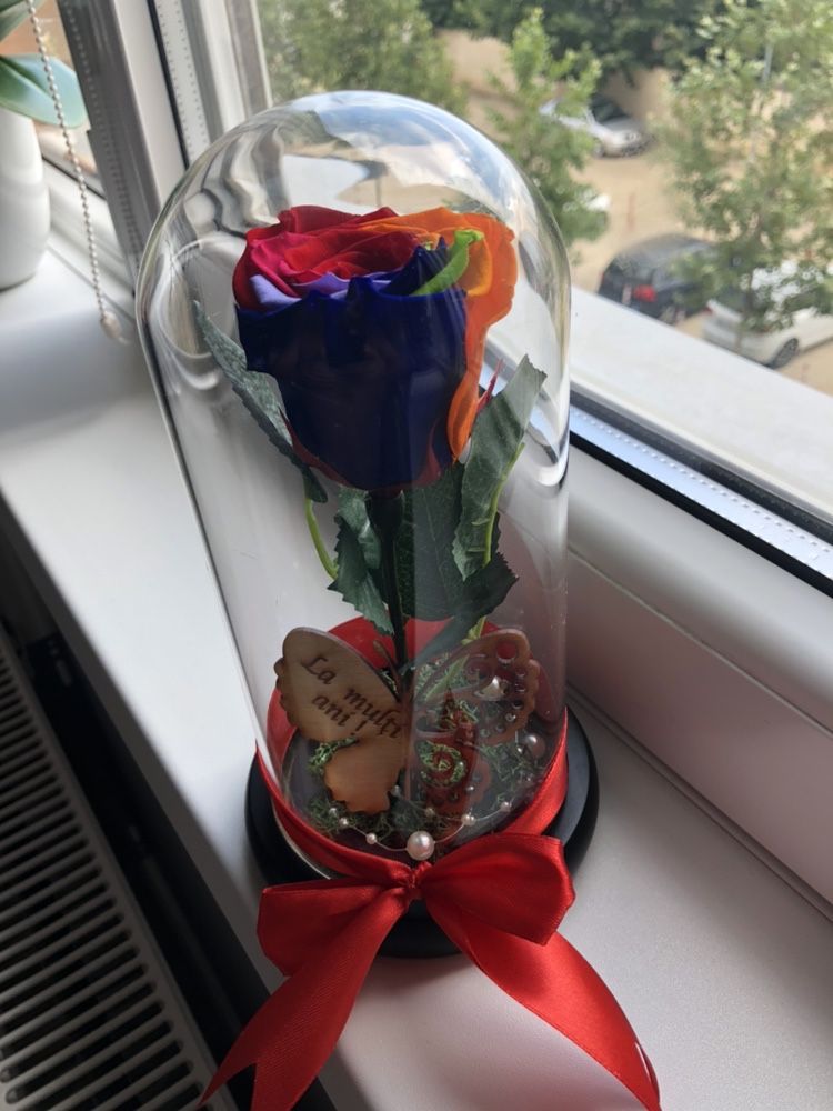 Cupola cu trandafir criogenat multicolor