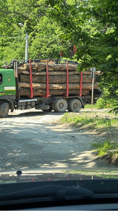 Lemn de foc FAG carpen STEJAR