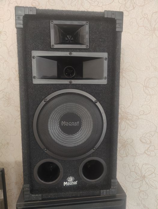Тонколони Magnat Soundforce 1200