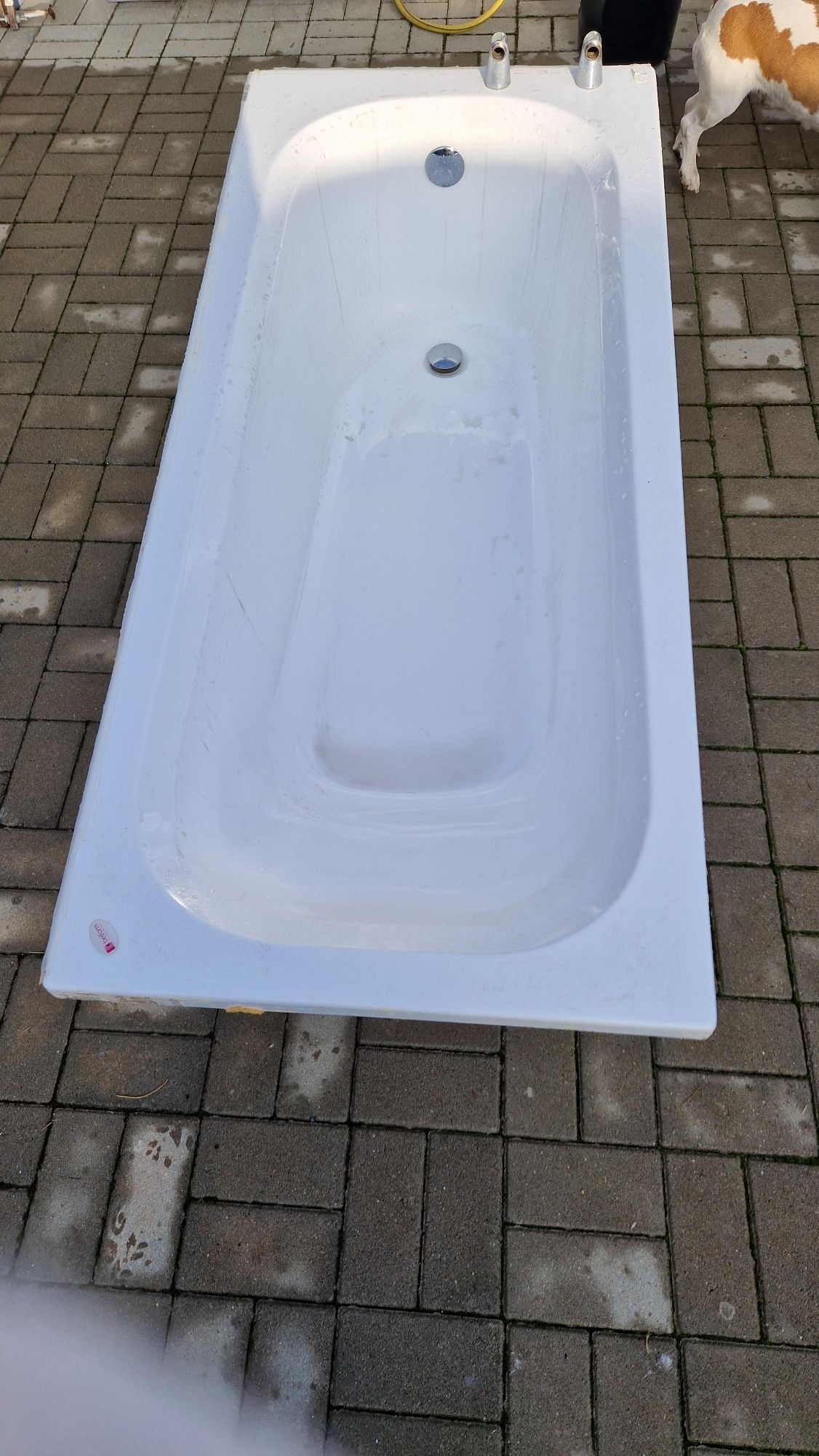 Vind vana belform