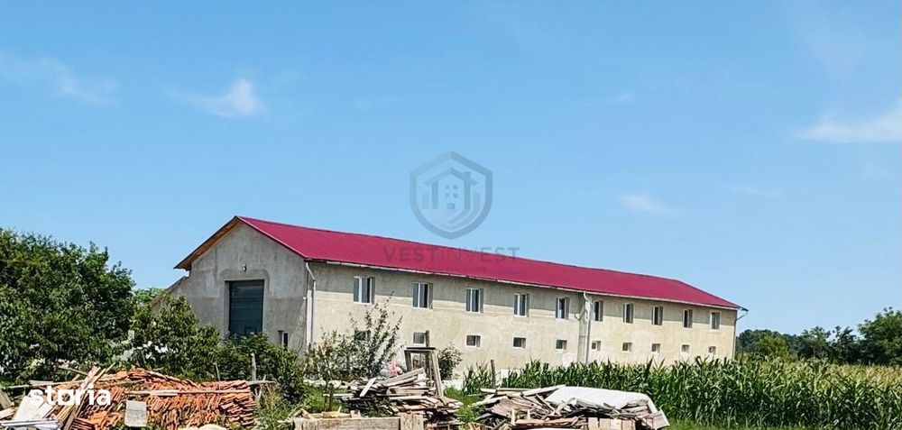 Hala 373 mp + teren in Santaul Mic