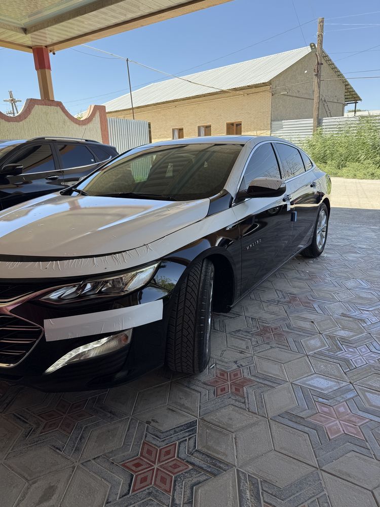Malibu malibu 2 premer