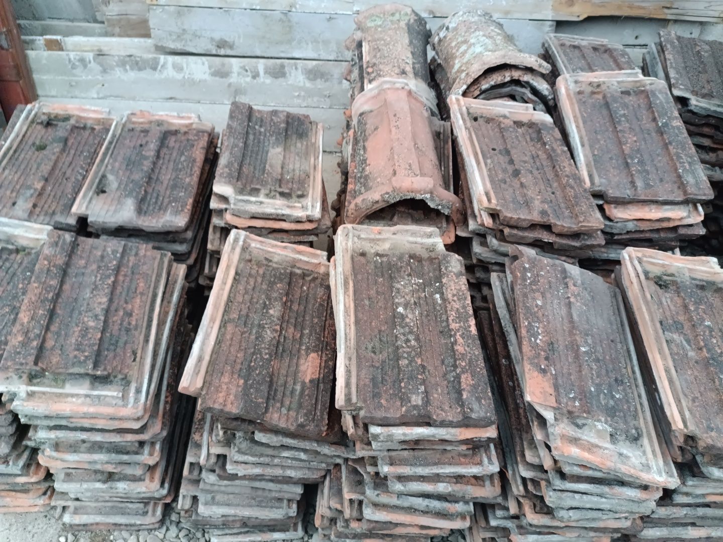 Țiglă ceramică Leu