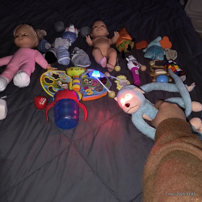 Donez /ofer aceste lucruri !